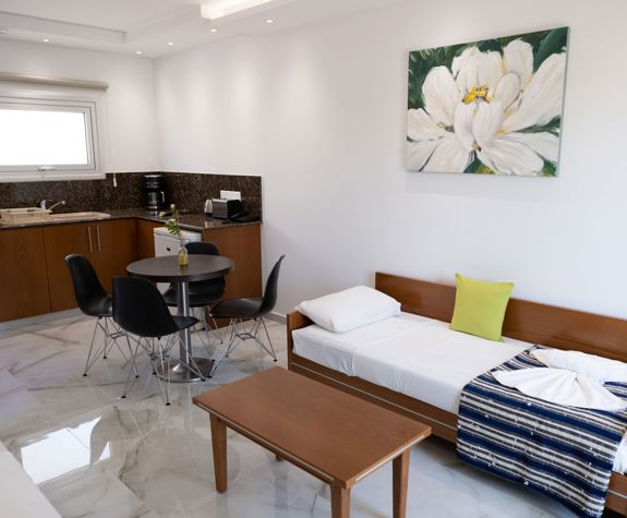 Loutsiana Hotel Deluxe One Bedroom Apt living room